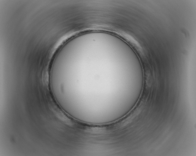 X0000113911280200910151410