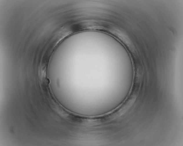 X0000113911281200910151410