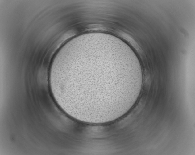 X0000113911282200910151410