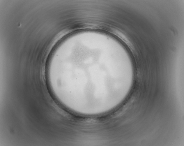 X0000113911283200910151410