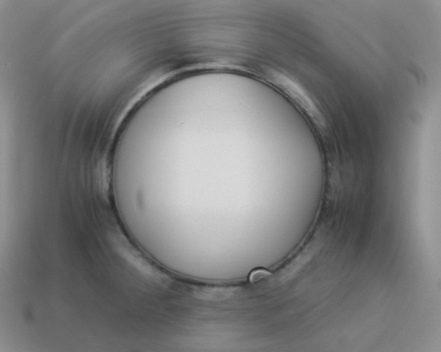 X0000113911284200910151410