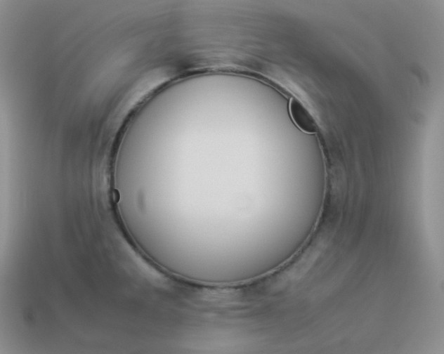 X0000113911285200910151410