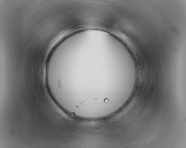 X0000113911286200910151410