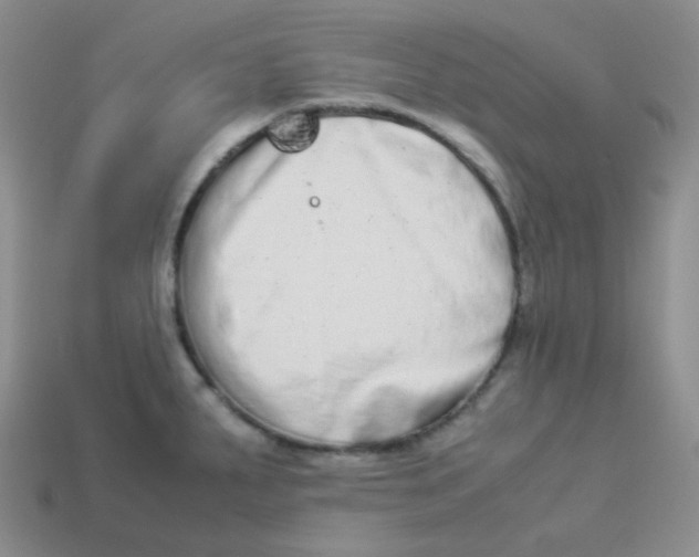 X0000113911287200910151410