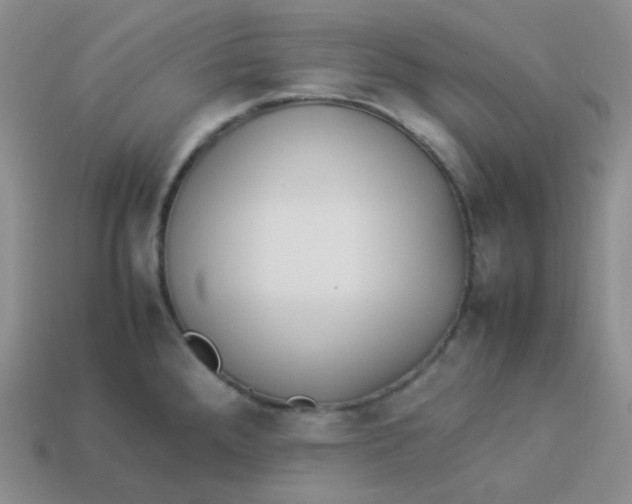 X0000113911288200910151410