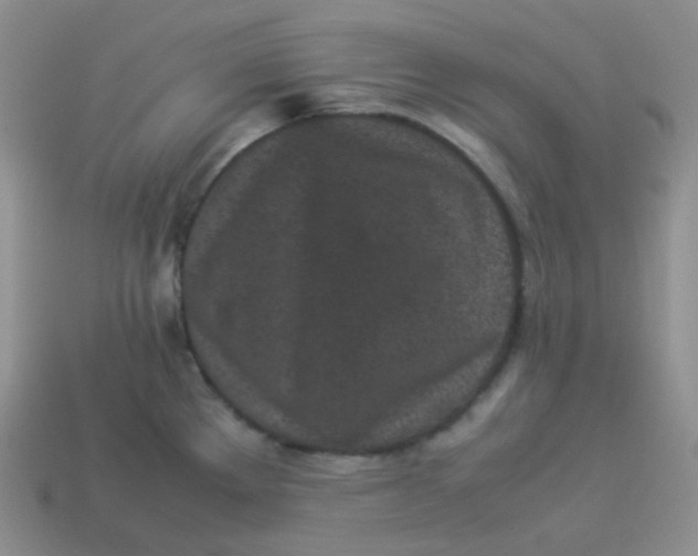 X0000113911289200910151410