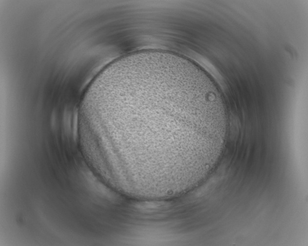 X0000113911290200910151410