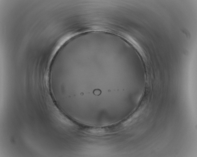 X0000113911291200910151410