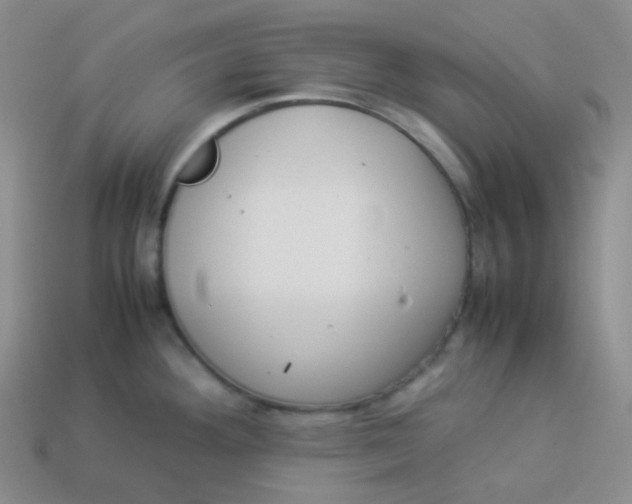 X0000113911292200910151410