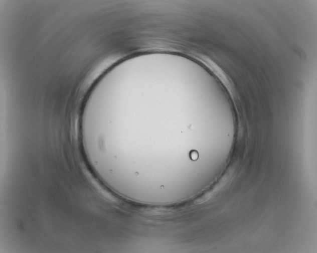 X0000113911293200910151410