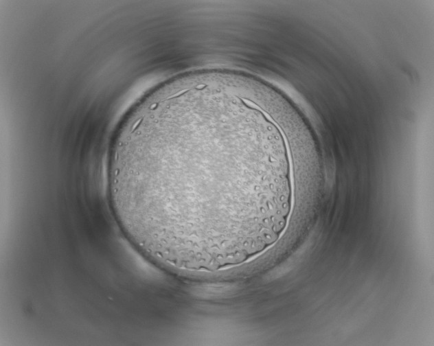 X0000113911294200910151410