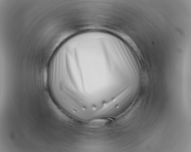 X0000113911295200910151410