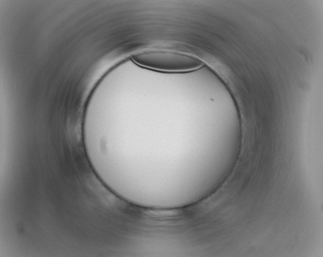 X0000113911296200910151410