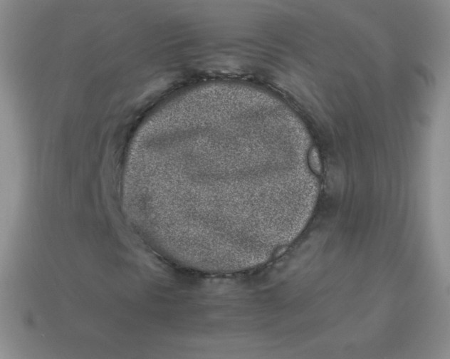 X0000113911297200910151409