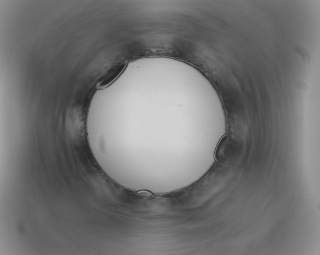 X0000113911298200910151409