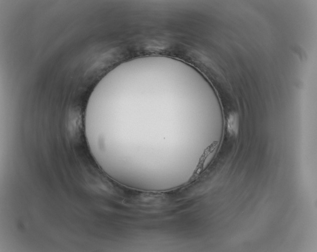 X0000113911299200910151409