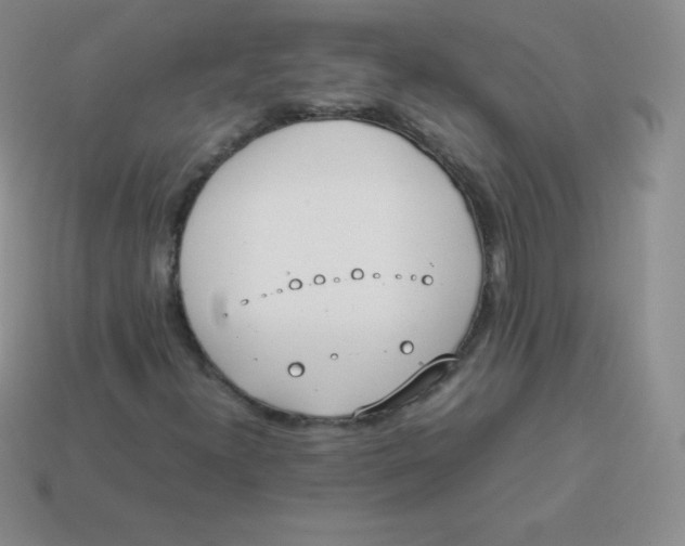 X0000113911300200910151409