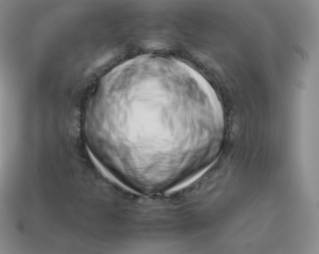 X0000113911301200910151409