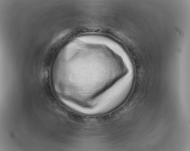 X0000113911302200910151409