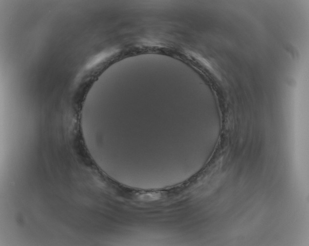 X0000113911303200910151409