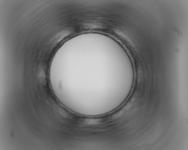 X0000113911305200910151409