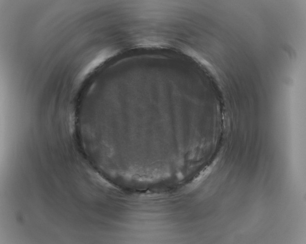 X0000113911306200910151409