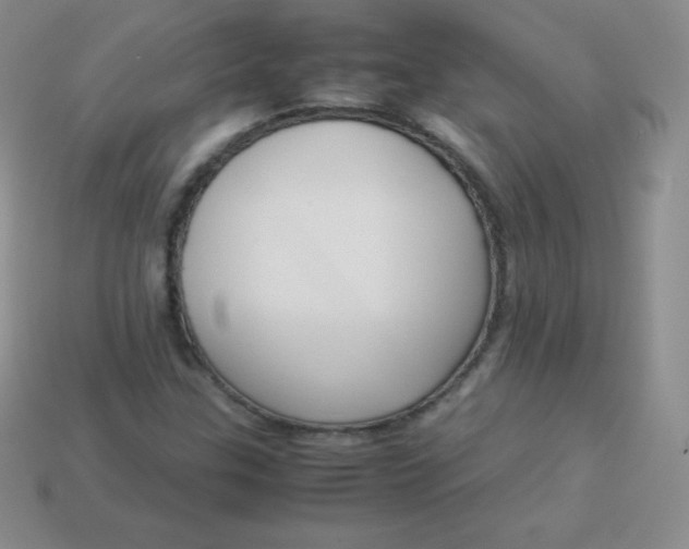 X0000113911307200910151409