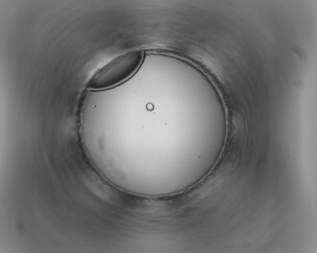 X0000113911308200910151409