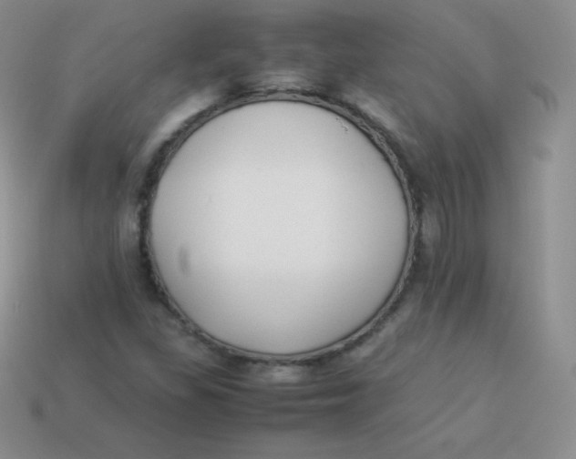 X0000113911309200910151409