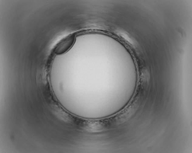 X0000113911310200910151409