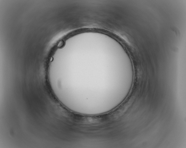 X0000113911311200910151409