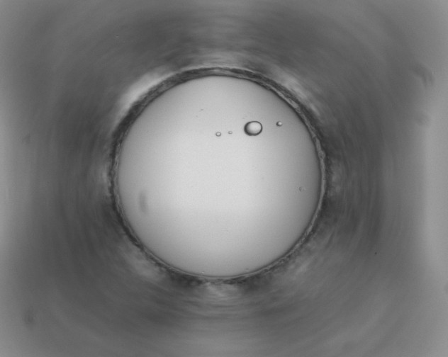 X0000113911312200910151409