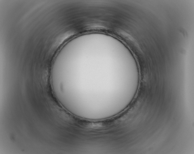 X0000113911313200910151409