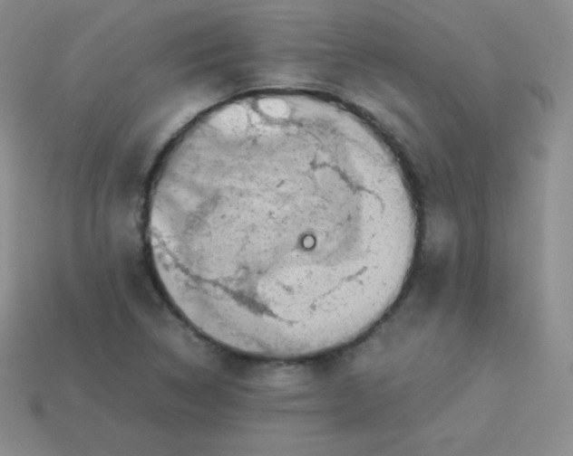 X0000113911314200910151409