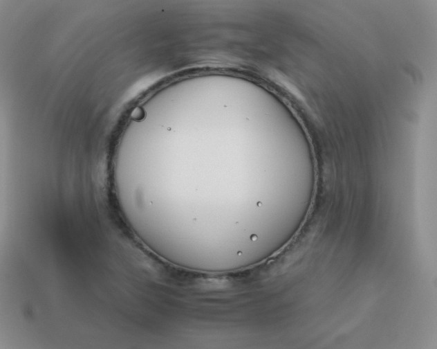 X0000113911315200910151409