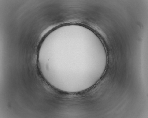 X0000113911316200910151409