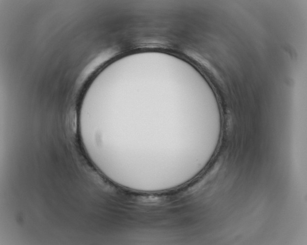 X0000113911317200910151409