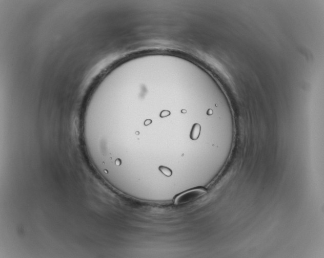 X0000113911318200910151409