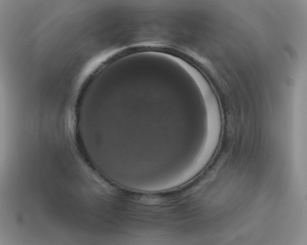 X0000113911319200910151409