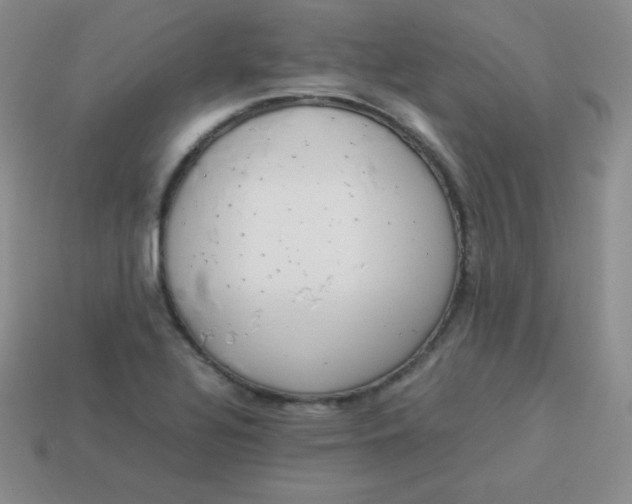 X0000113911320200910151409