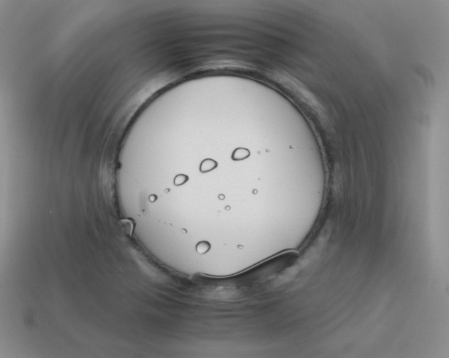 X0000113911321200910151409