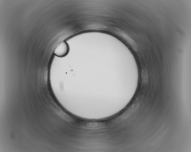 X0000113911322200910151409