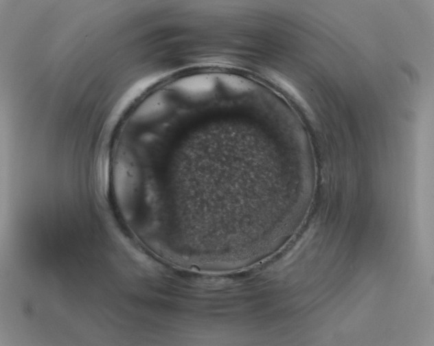 X0000113911323200910151409