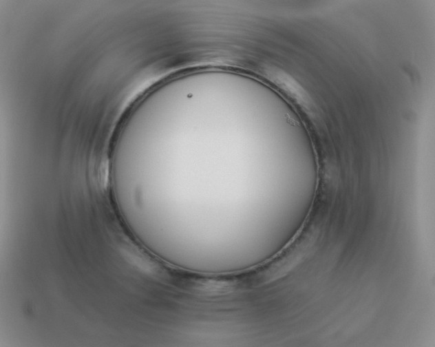 X0000113911324200910151409