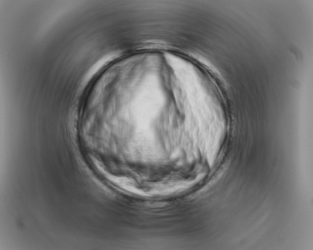 X0000113911325200910151409