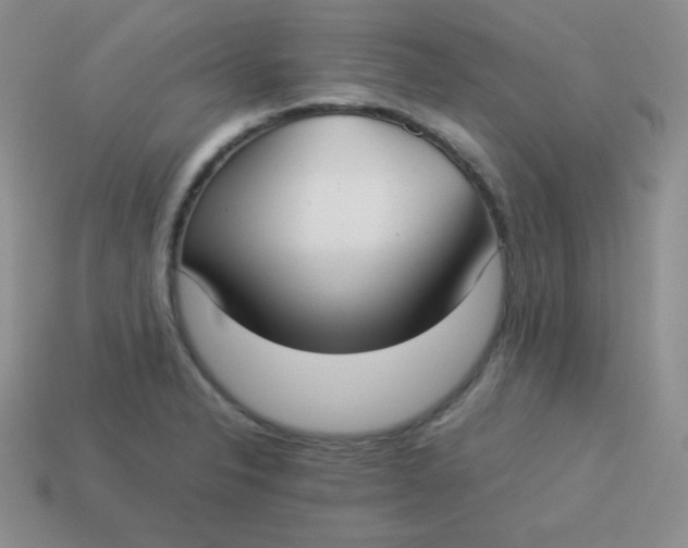 X0000113911326200910151409