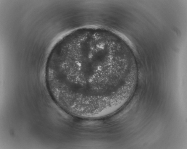 X0000113911327200910151409