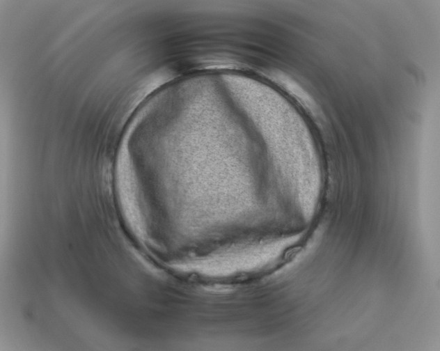 X0000113911329200910151409