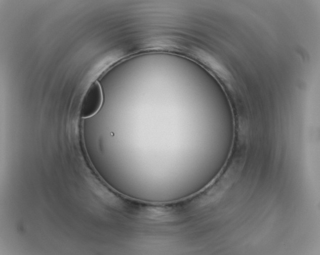 X0000113911330200910151409