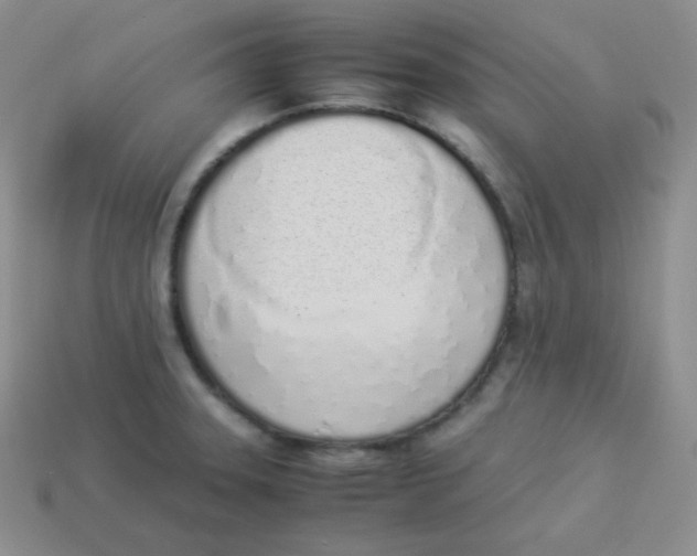 X0000113911331200910151409